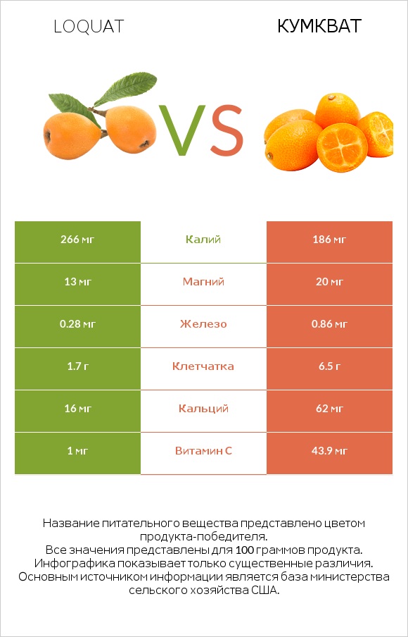 Loquat vs Кумкват infographic