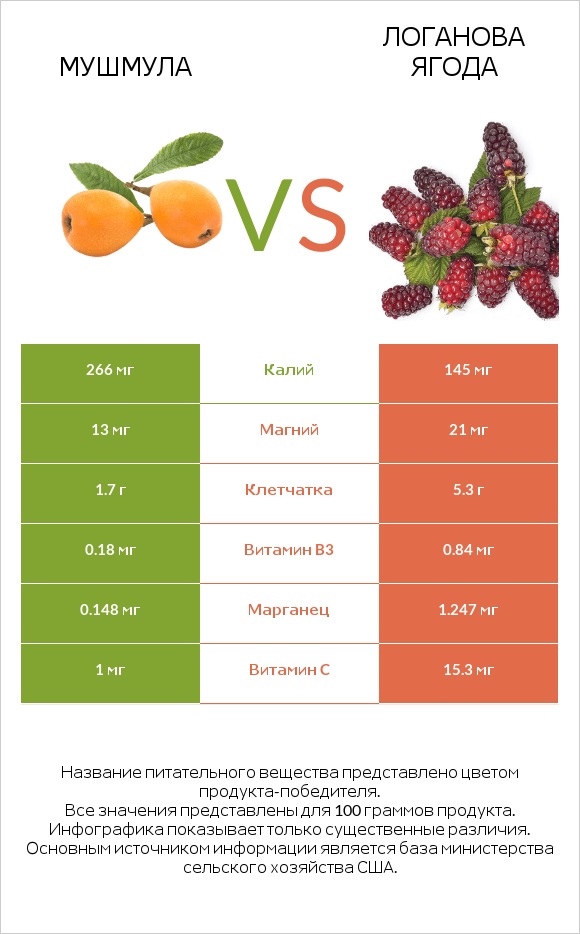 Мушмула vs Логанова ягода infographic