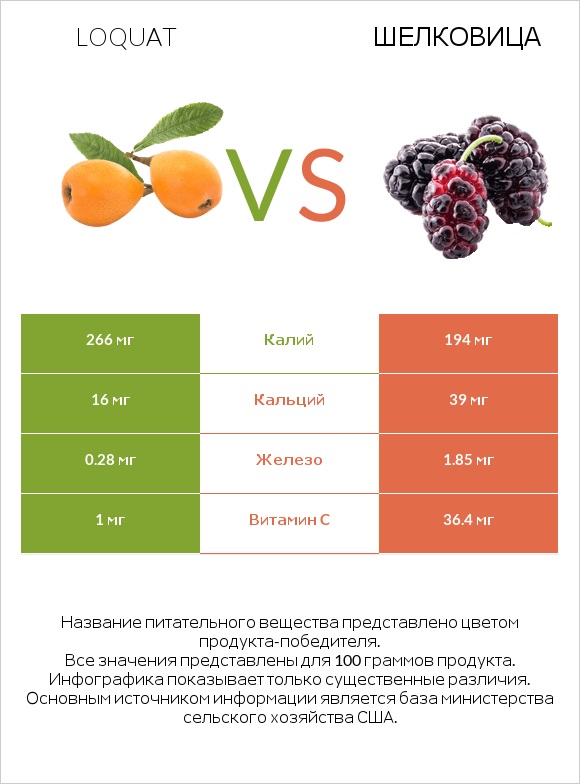 Loquat vs Шелковица infographic