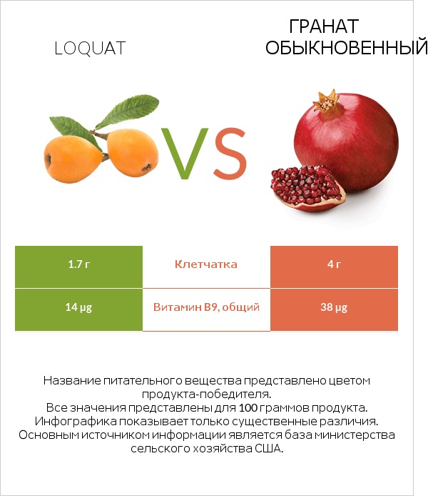 Loquat vs Гранат обыкновенный infographic