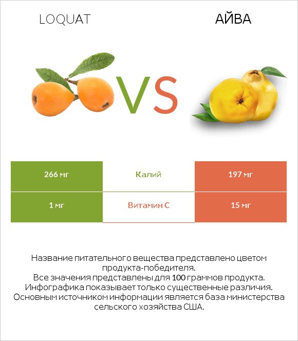 Loquat vs Айва infographic