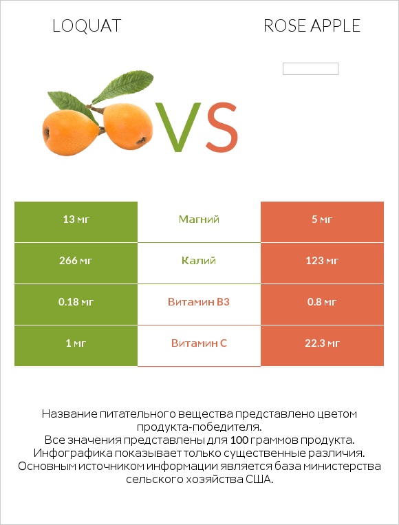 Loquat vs Rose apple infographic