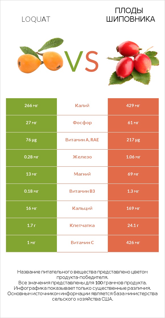 Loquat vs Плоды шиповника infographic