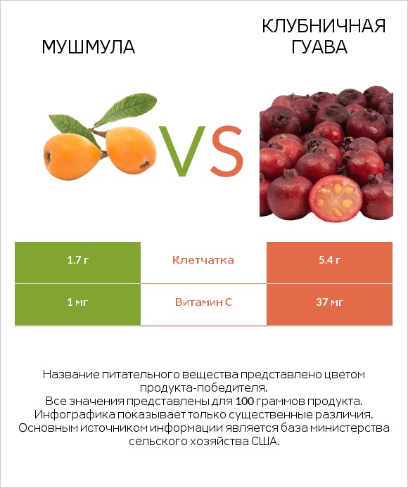 Мушмула vs Клубничная гуава infographic