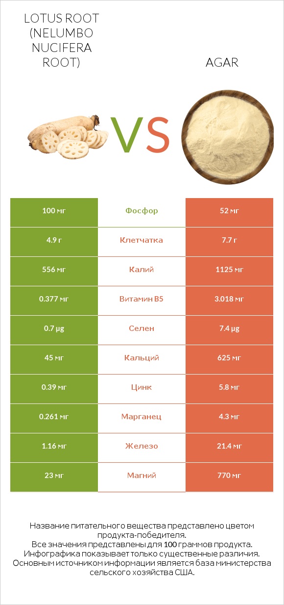 Lotus root vs Agar infographic