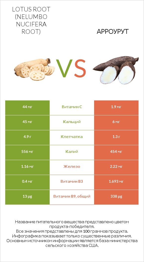Lotus root vs Арроурут infographic