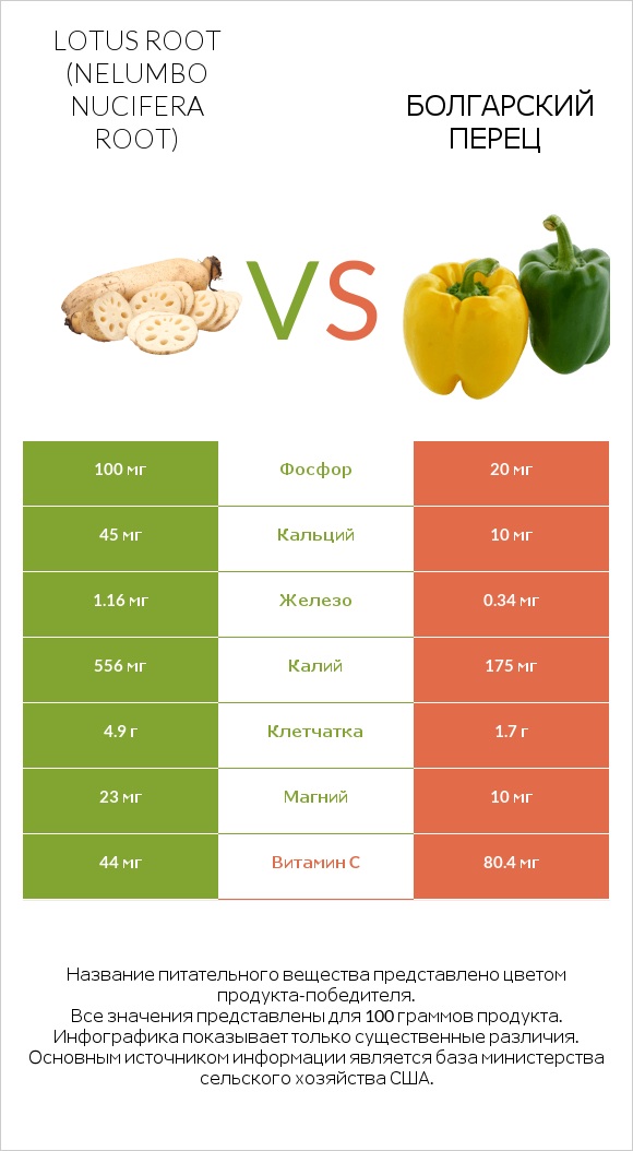Lotus root vs Болгарский перец infographic