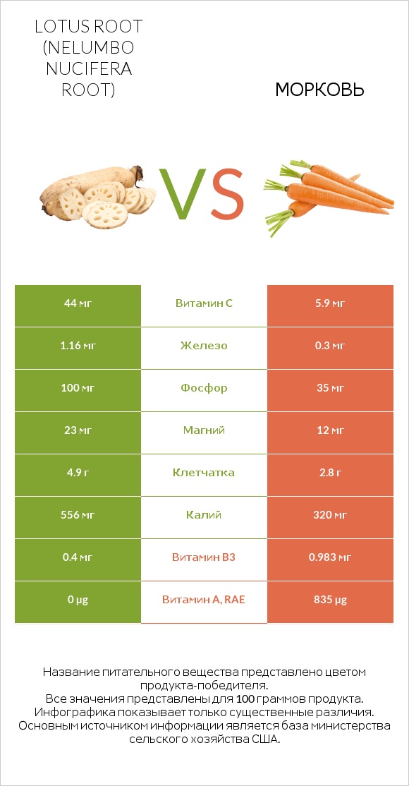Lotus root vs Морковь infographic