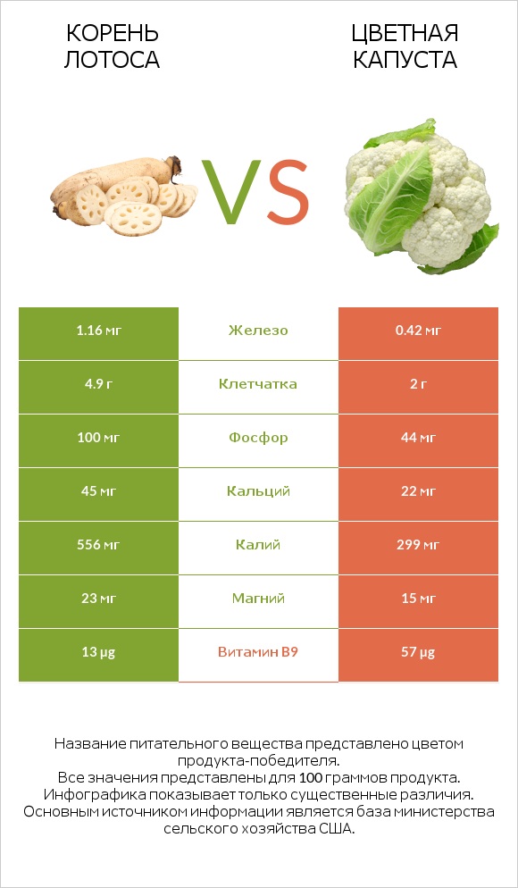 Lotus root vs Цветная капуста infographic