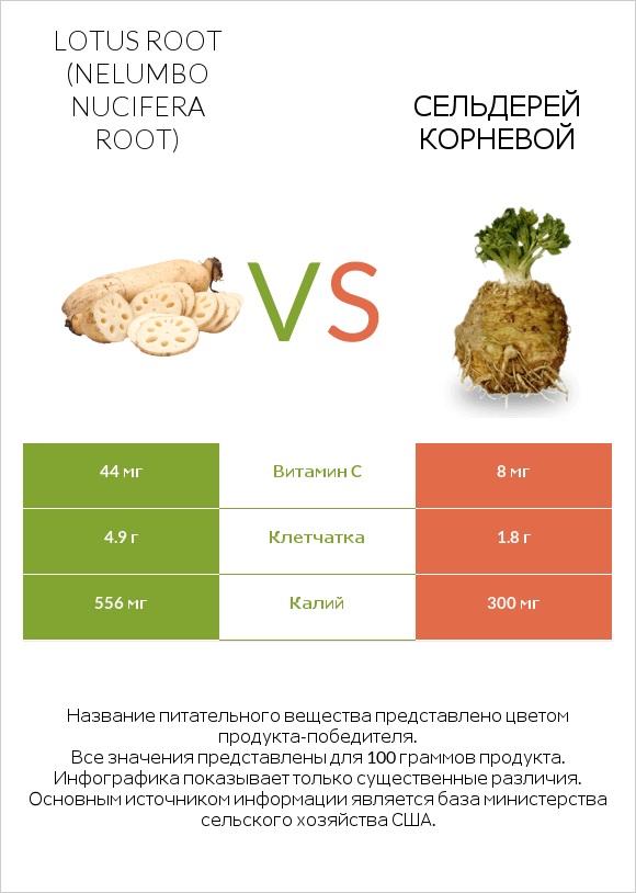 Lotus root vs Сельдерей корневой infographic