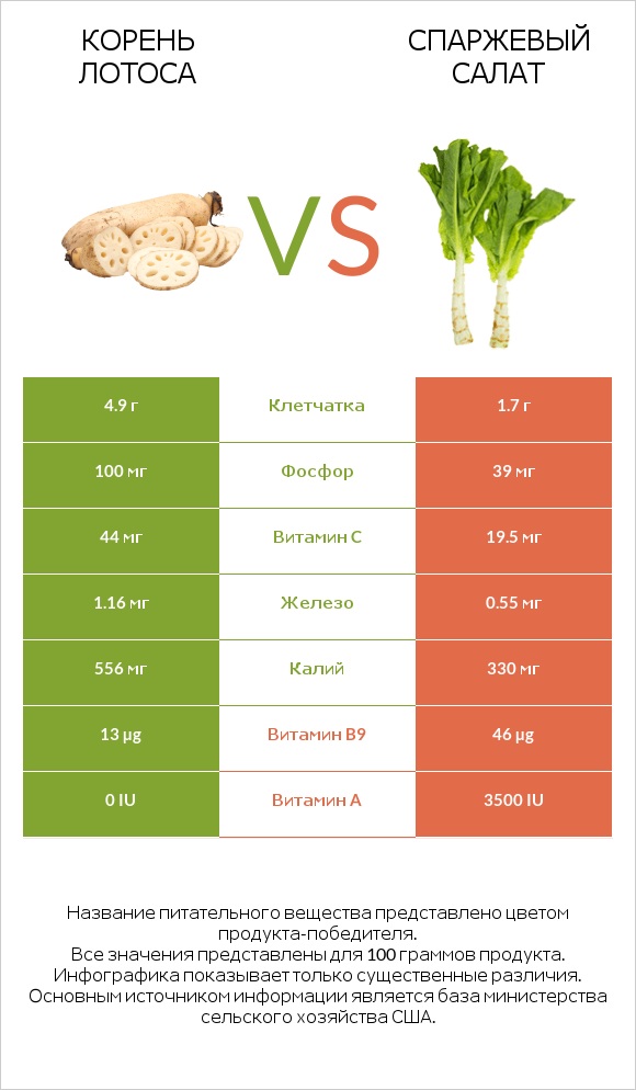 Lotus root vs Celtuce infographic