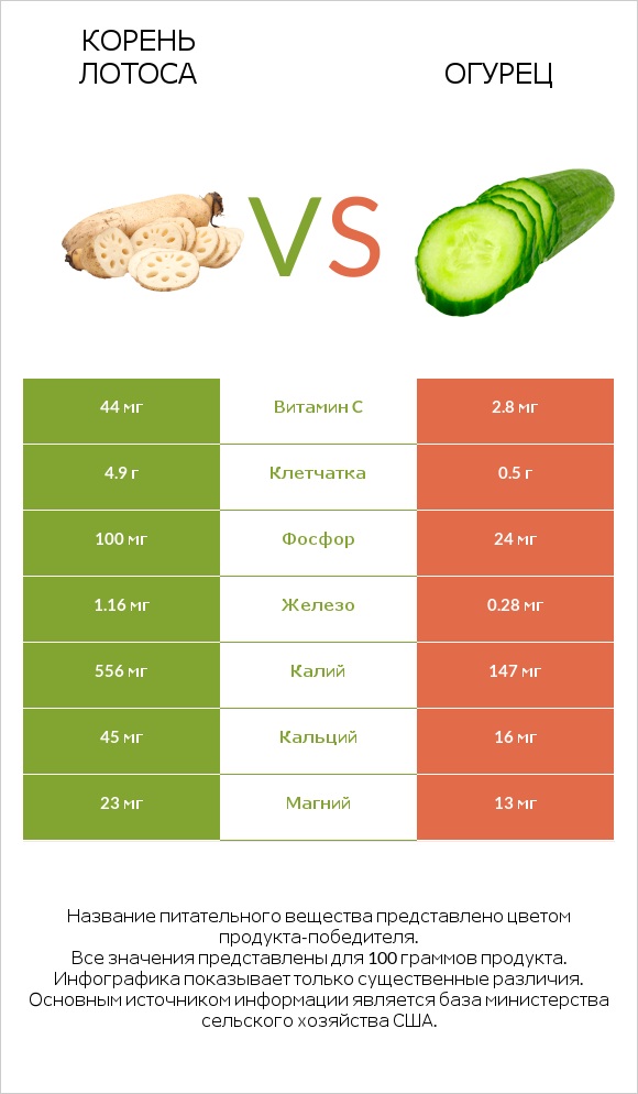 Корень лотоса vs Огурец infographic