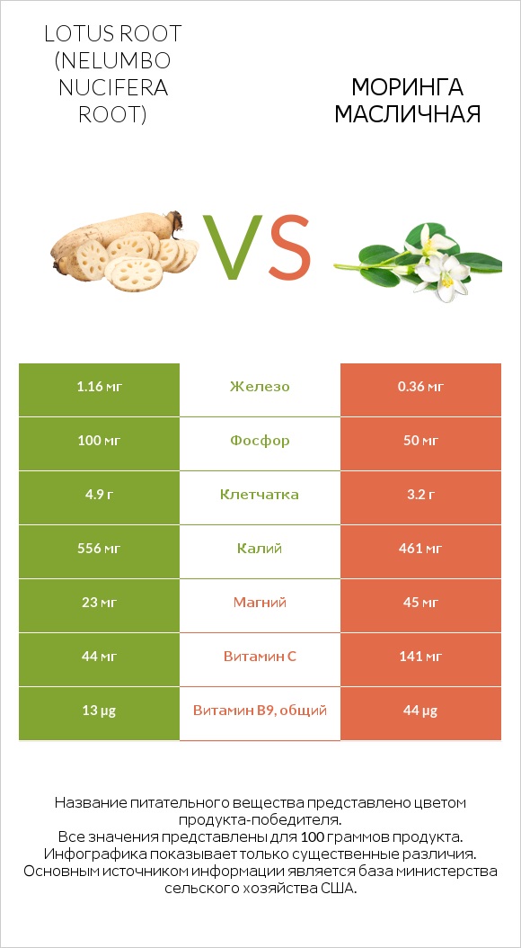 Lotus root vs Моринга масличная infographic