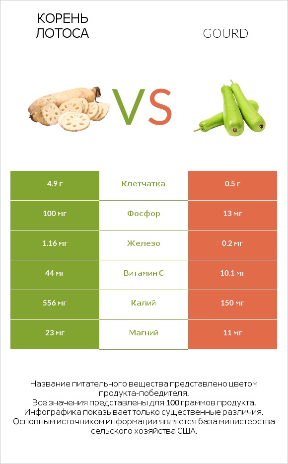 Корень лотоса vs Gourd infographic