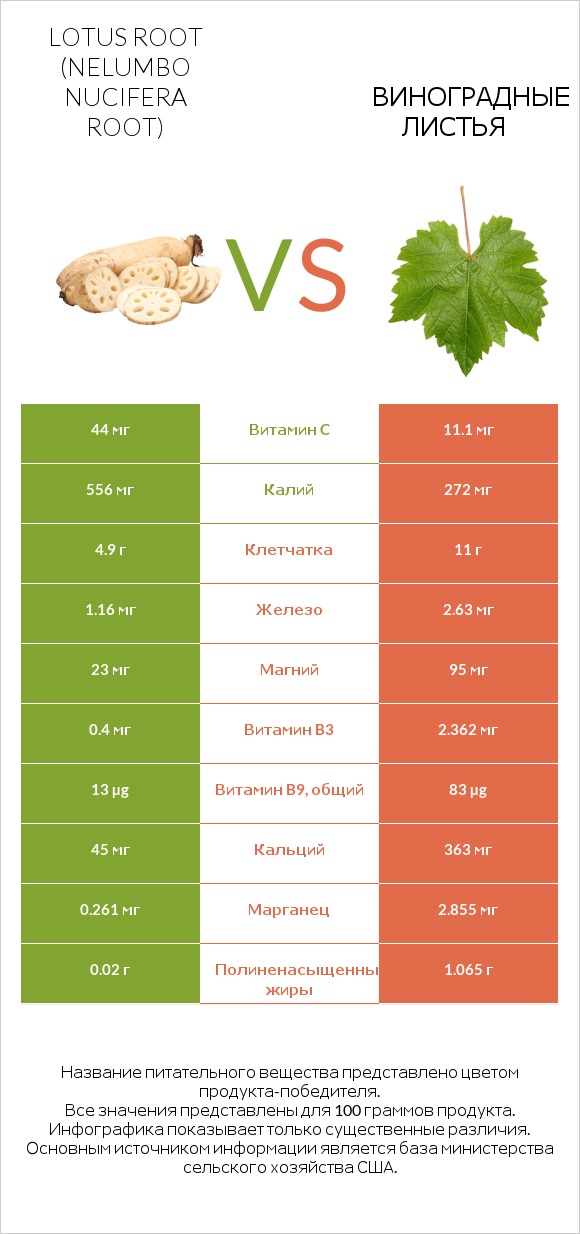 Lotus root vs Виноградные листья infographic