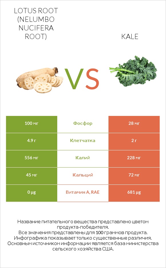 Lotus root vs Kale infographic