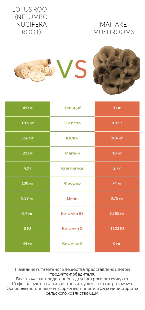 Lotus root vs Maitake mushrooms infographic