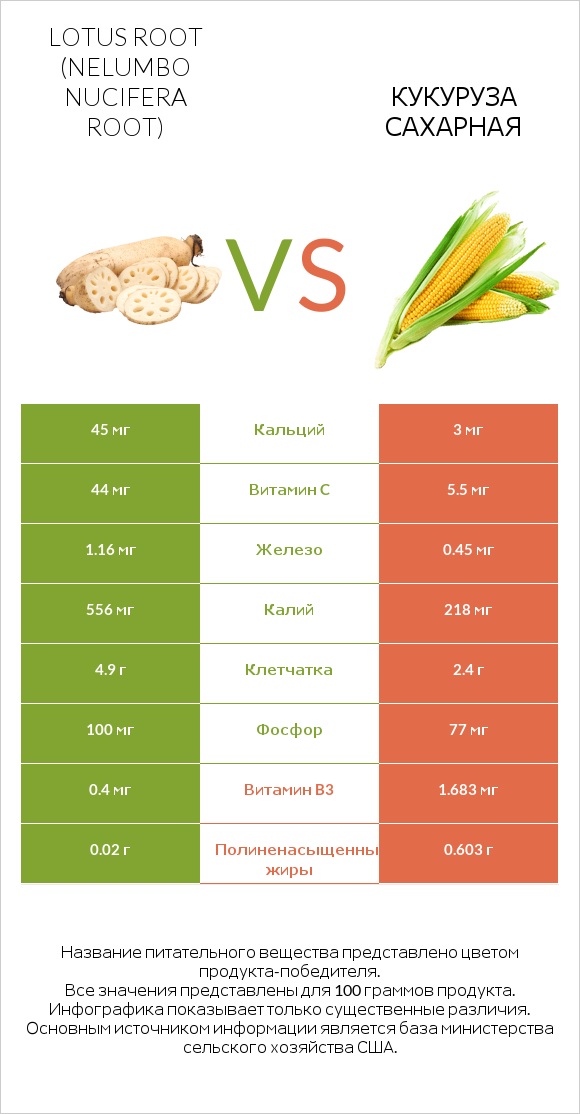 Lotus root vs Кукуруза сахарная infographic