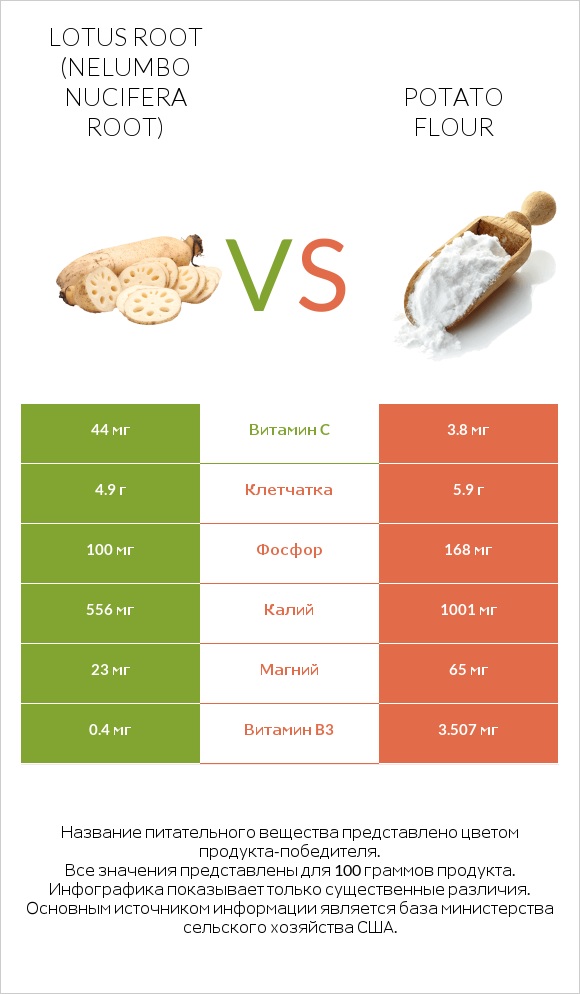 Lotus root vs Potato flour infographic