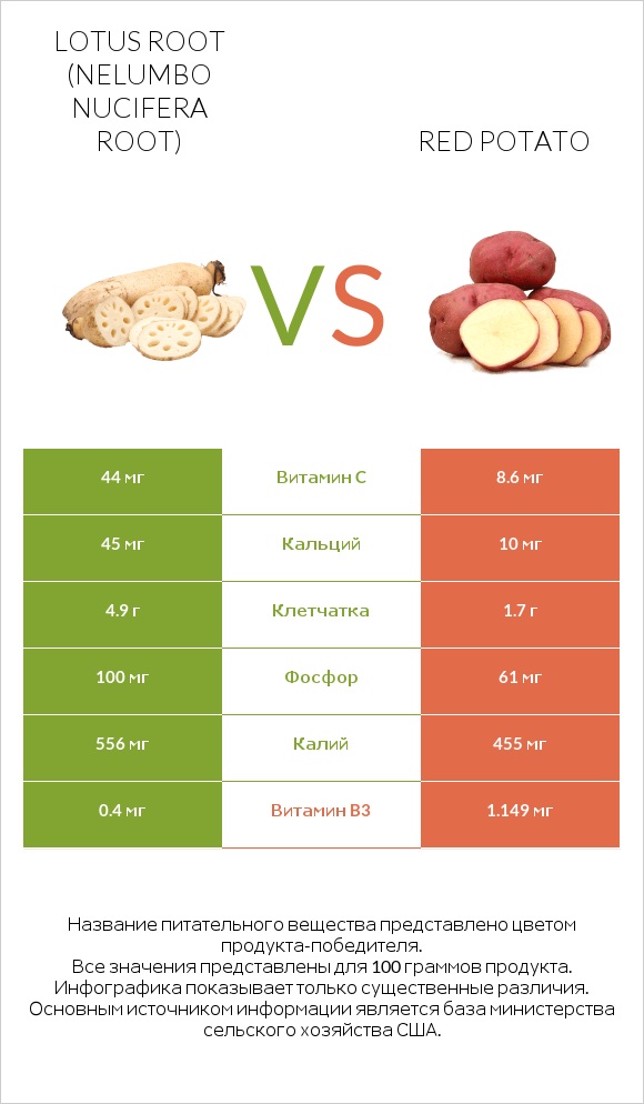 Lotus root vs Red potato infographic