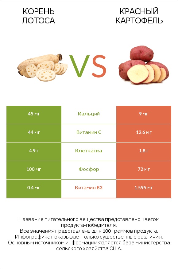 Корень лотоса vs Красный картофель infographic