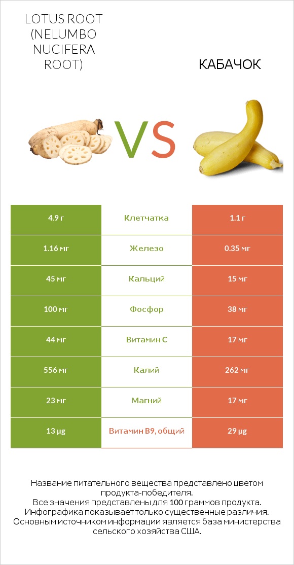 Lotus root vs Кабачок infographic