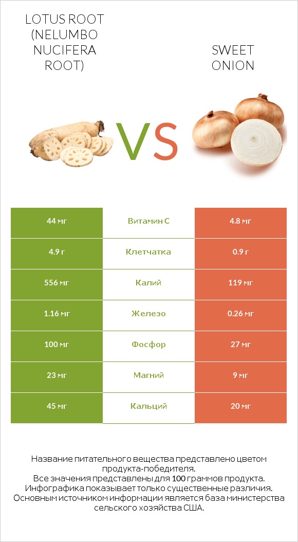 Lotus root vs Sweet onion infographic