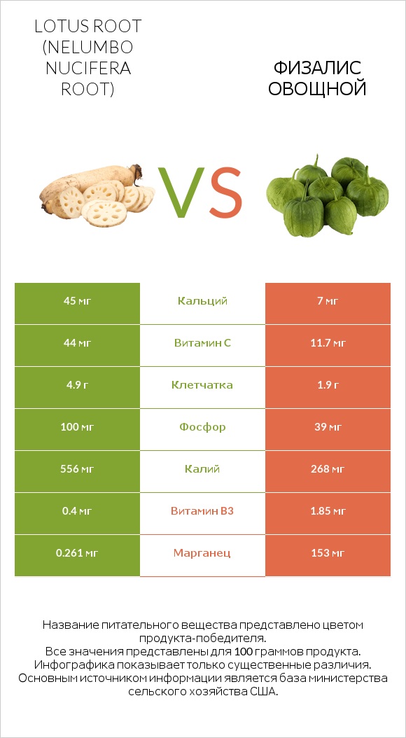 Lotus root vs Физалис овощной infographic