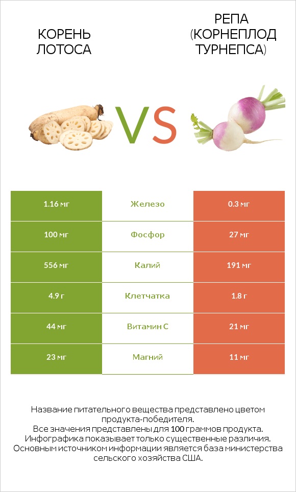 Lotus root vs Турнепс (репа) infographic