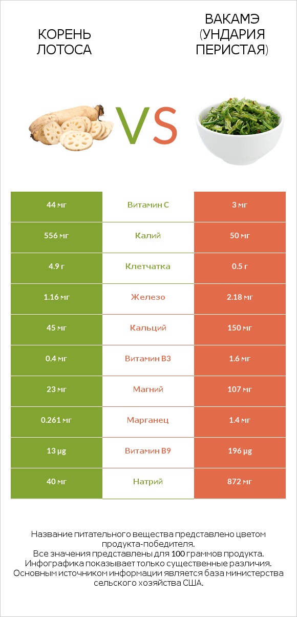 Корень лотоса vs Вакамэ (ундария перистая) infographic