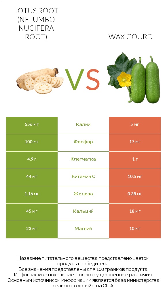 Lotus root vs Wax gourd infographic