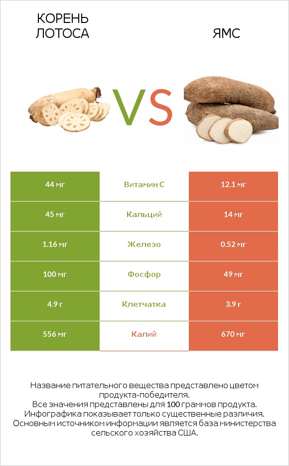 Lotus root vs Ямс infographic