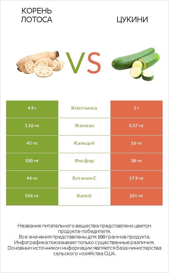 Корень лотоса vs Цукини infographic