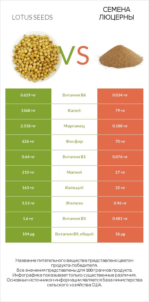 Lotus seeds vs Семена люцерны infographic