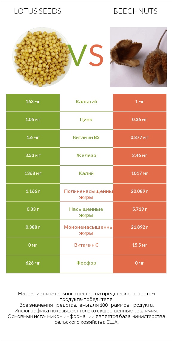 Lotus seeds vs Beechnuts infographic