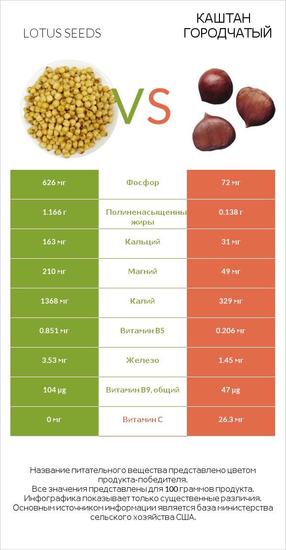 Lotus seeds vs Каштан городчатый infographic