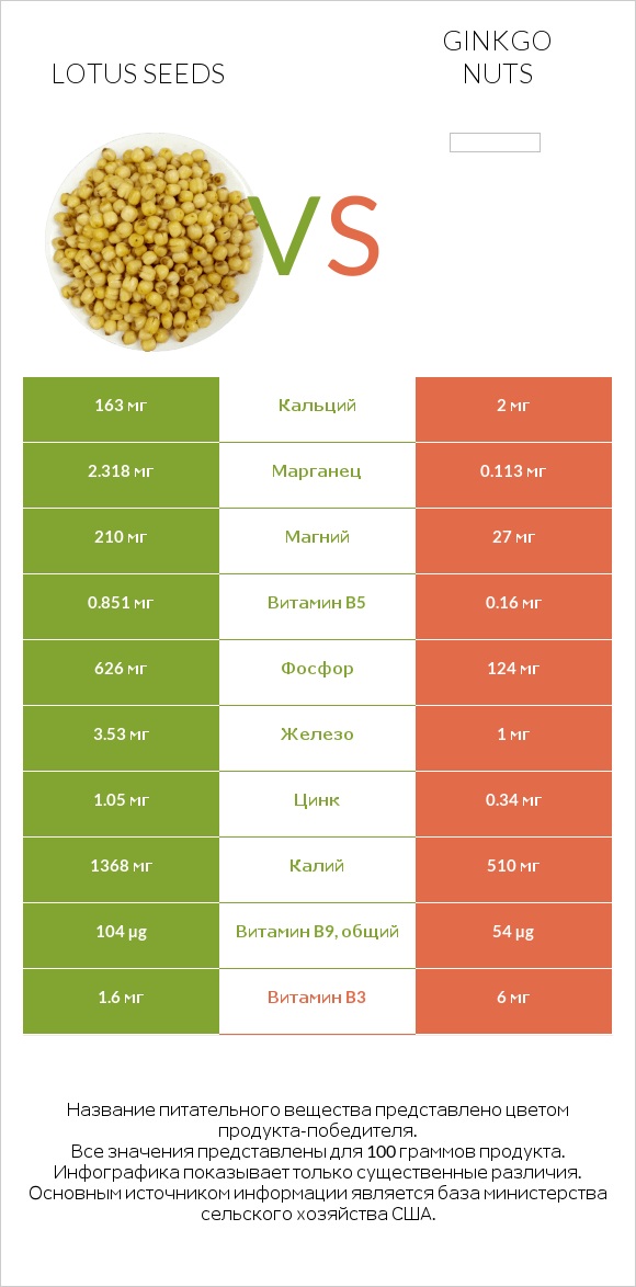 Lotus seeds vs Ginkgo nuts infographic
