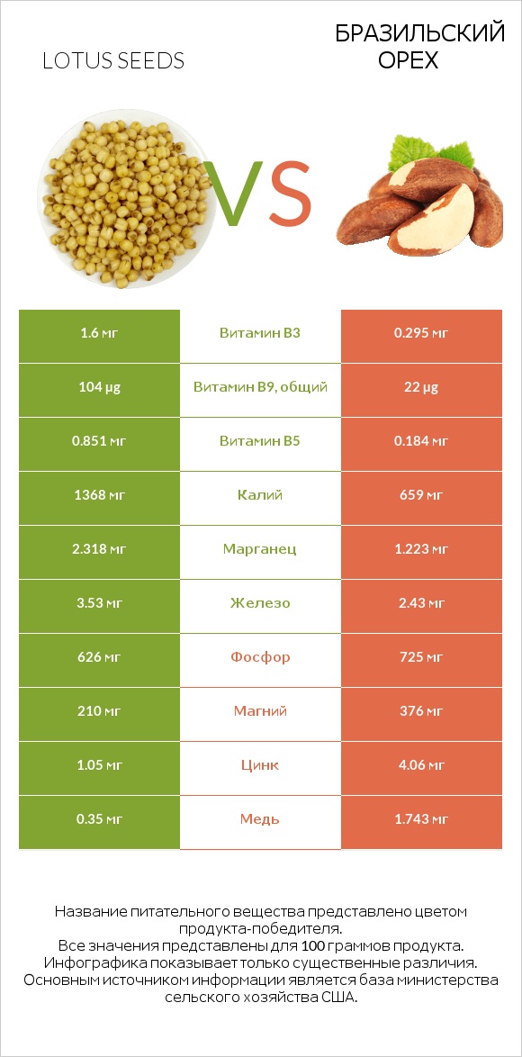Lotus seeds vs Бразильский орех infographic