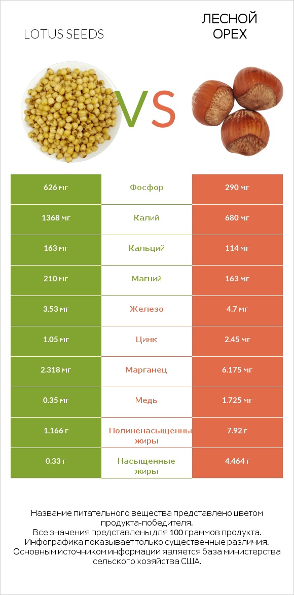 Lotus seeds vs Лесной орех infographic