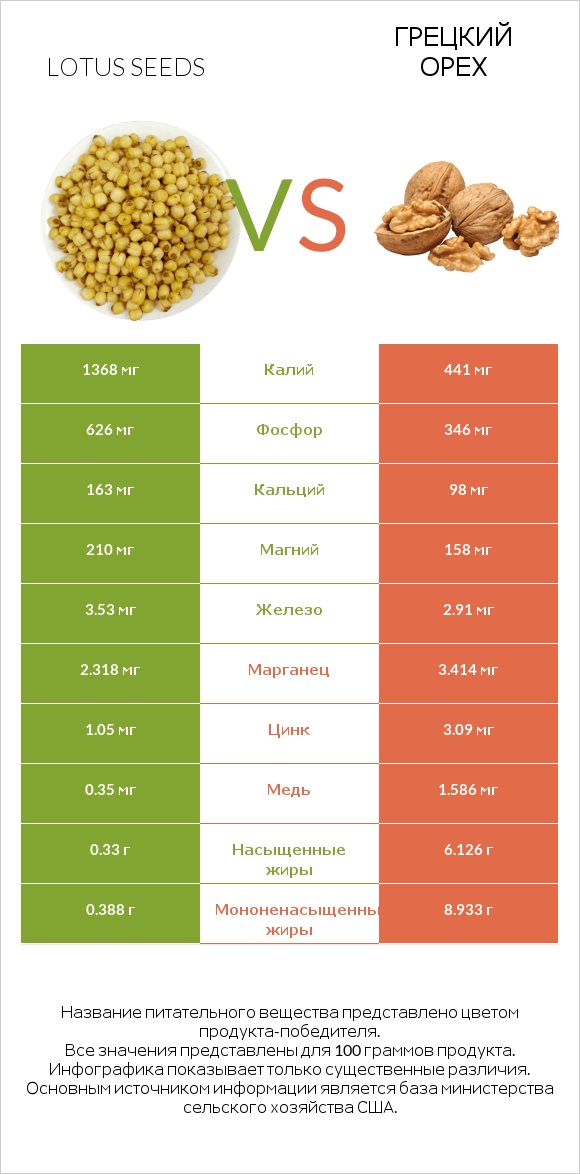 Lotus seeds vs Грецкий орех infographic