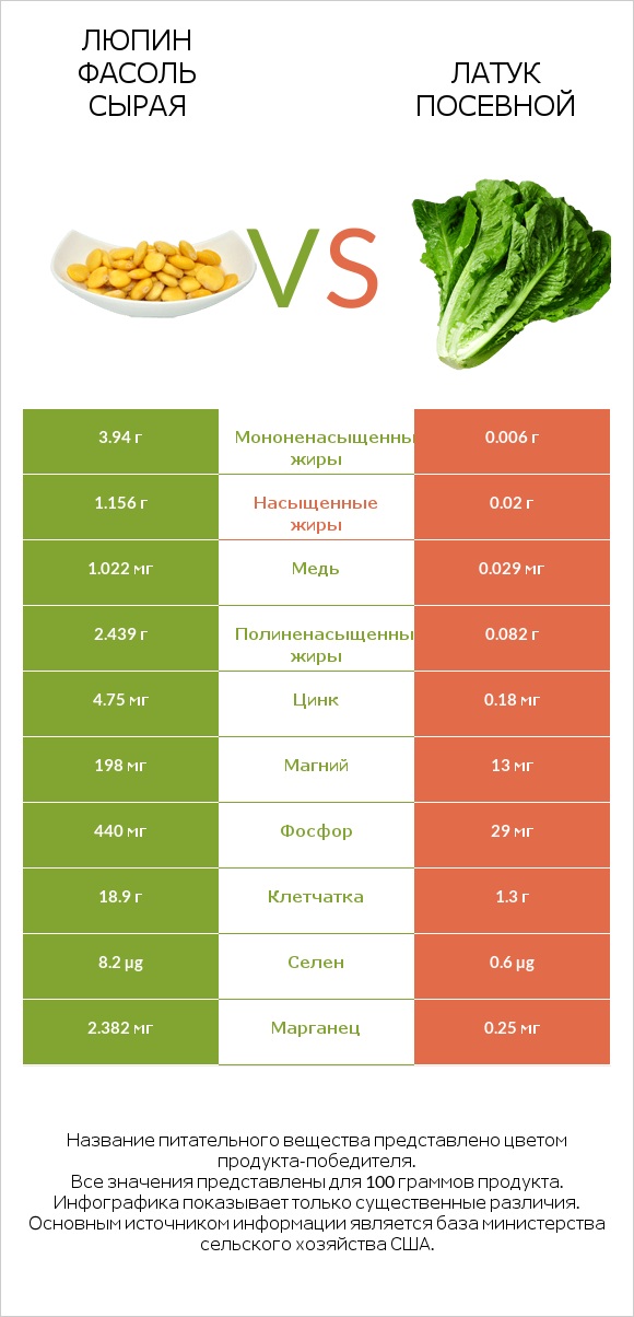 Люпин Фасоль сырая vs Латук посевной infographic