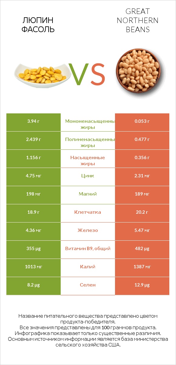 Люпин Фасоль vs Great northern beans infographic