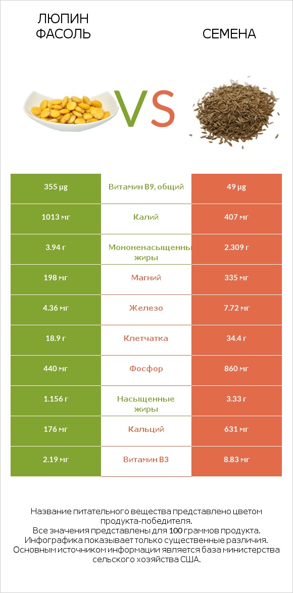 Люпин Фасоль vs Семена infographic