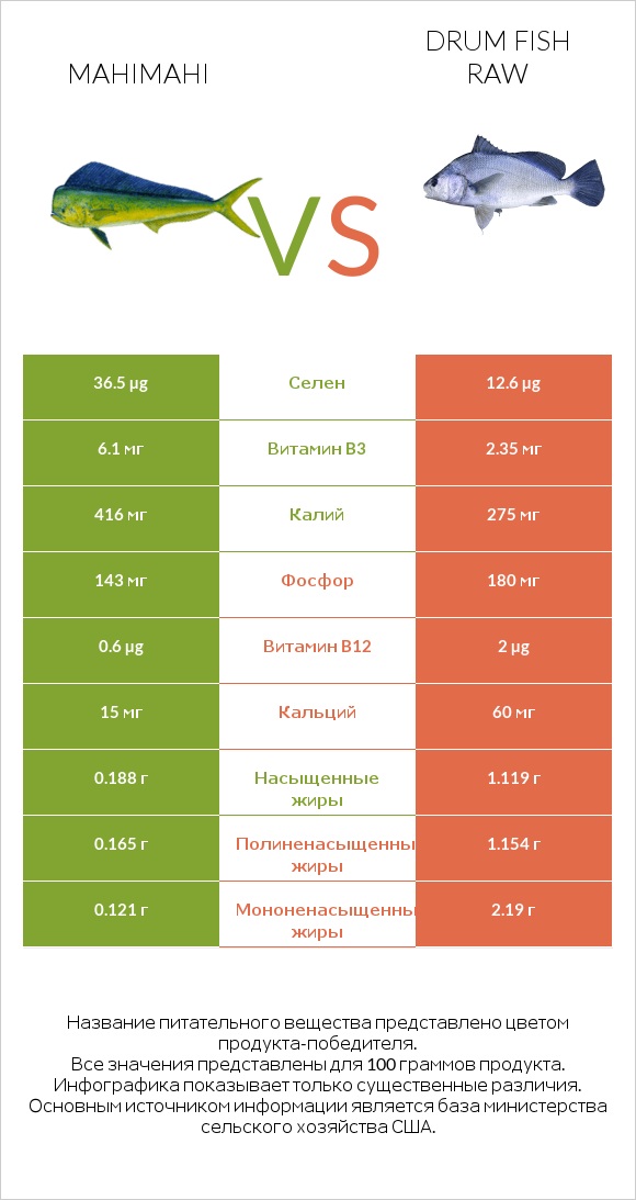 Mahimahi vs Drum fish raw infographic