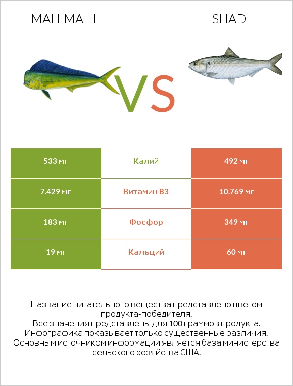 Mahimahi vs Shad infographic