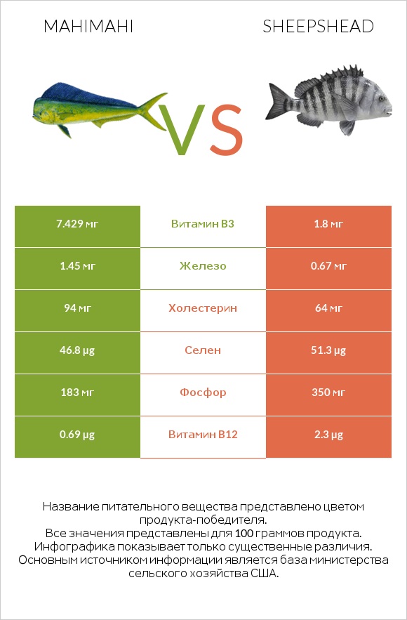 Mahimahi vs Sheepshead infographic