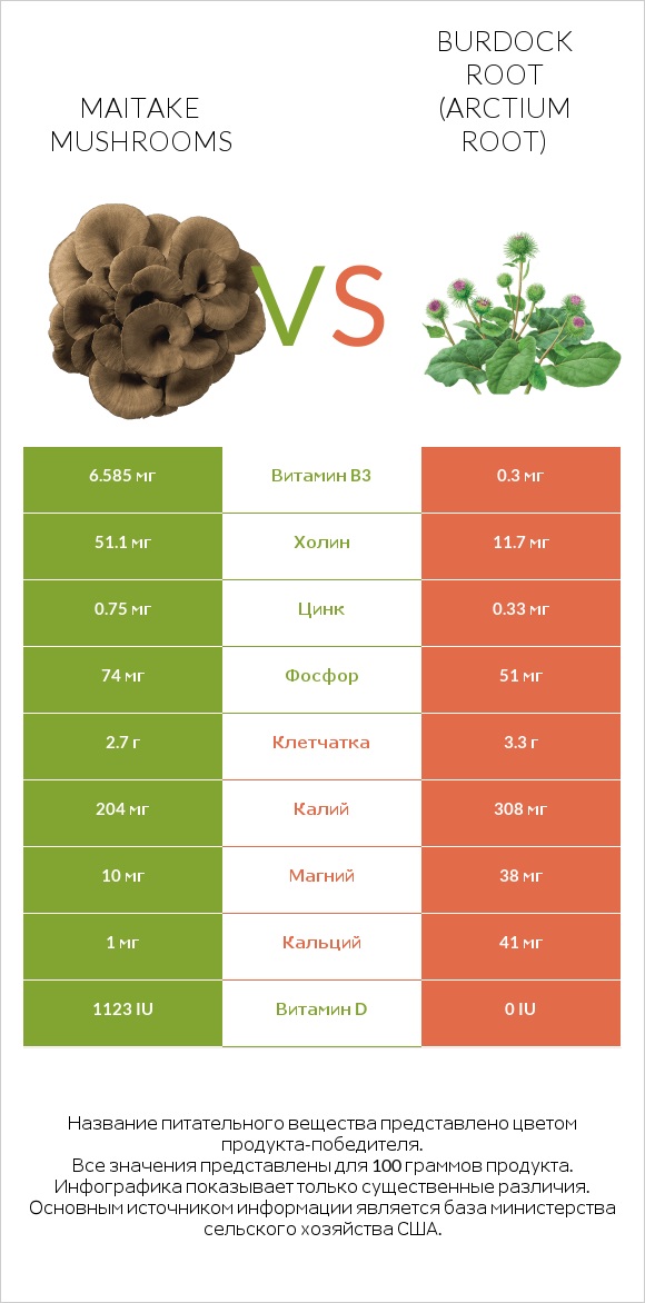 Maitake mushrooms vs Burdock root infographic