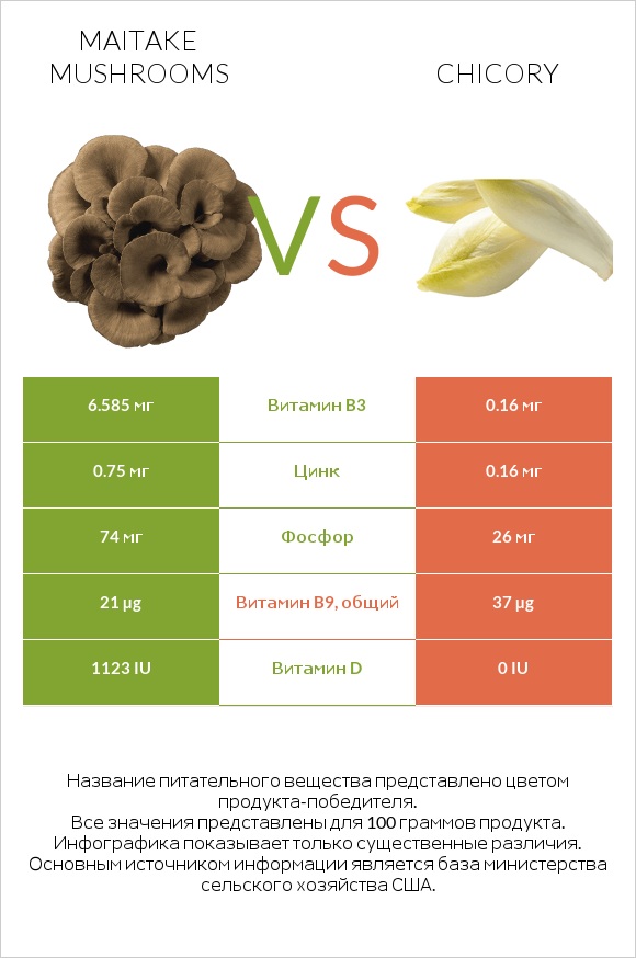 Maitake mushrooms vs Chicory infographic