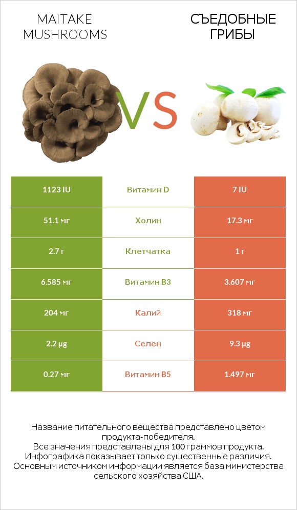 Грифола курчавая vs Съедобные грибы infographic