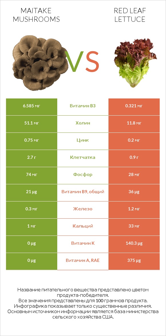 Maitake mushrooms vs Red leaf lettuce infographic
